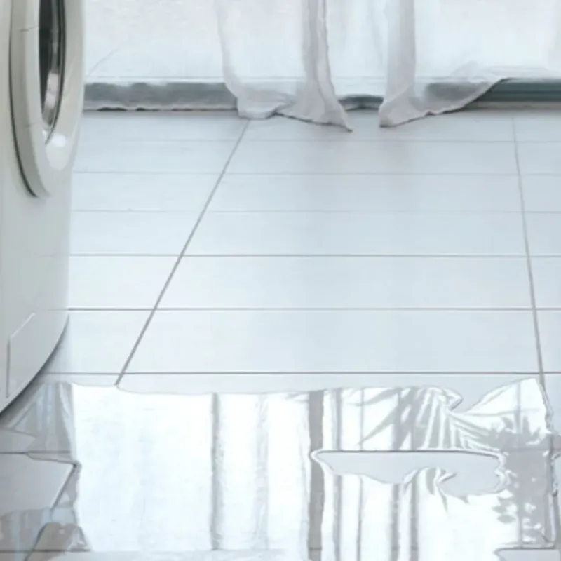 Appliance Leak Cleanup in Palm Harbor, FL