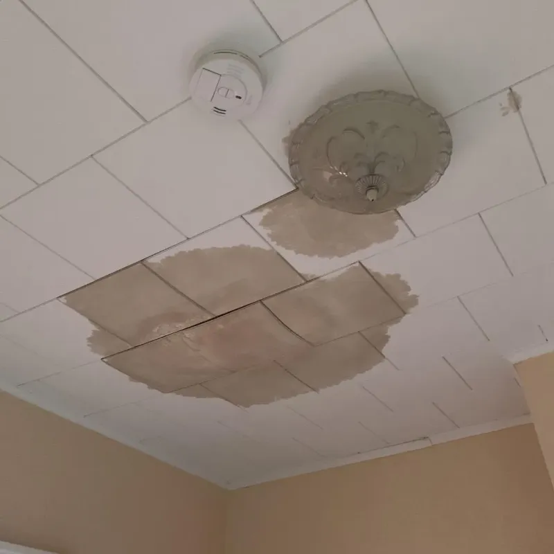 Ceiling Water Damage Repair in Palm Harbor, FL